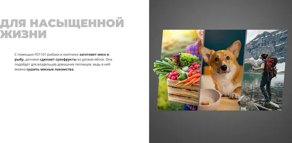 Изображение товара Сушилка для овощей и фруктов Redmond FD1101 (черный)