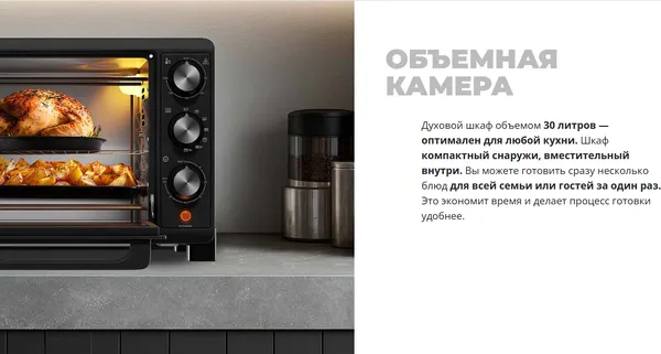Изображение товара Ростер Redmond OV2101 (черный)