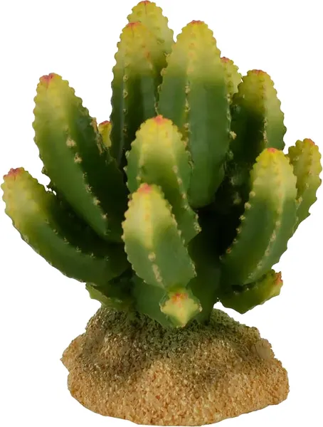 Изображение товара Декорация для аквариума Gloxy Стапелия / GL-PT230