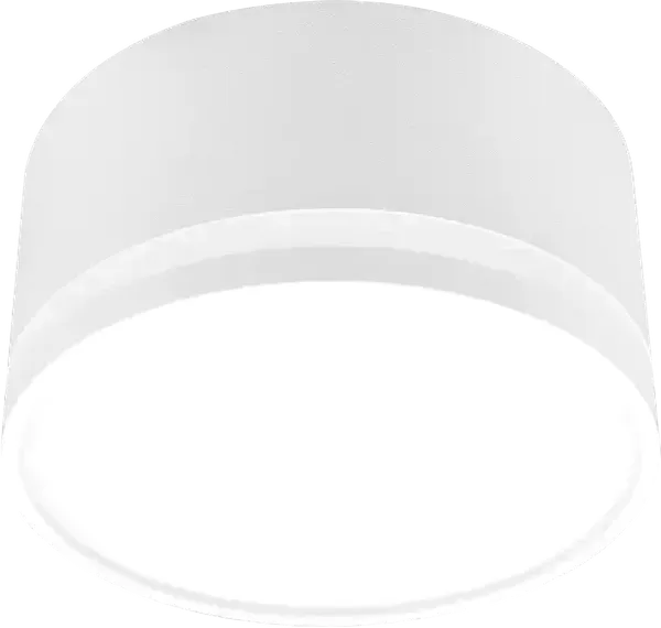 Изображение товара Точечный светильник Truenergy 21853