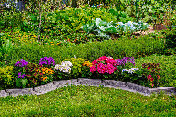 Изображение товара Бордюр садовый Мастер Сад Лабиринт МС Б-50.08.15-ПП 82753-С-Короб