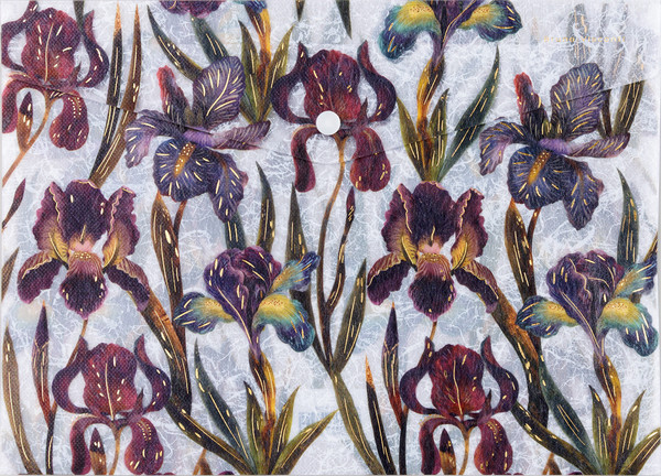 Изображение товара Папка-конверт Bruno Visconti Flora. Ирисы / 14-036/18