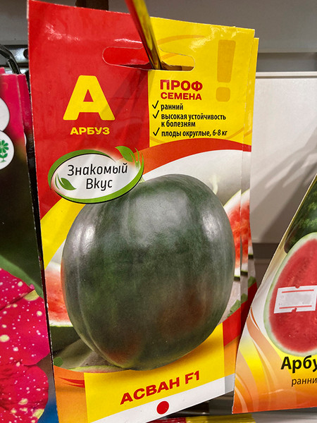 Изображение товара Семена Sakata Арбуз Асван F1 (5шт)