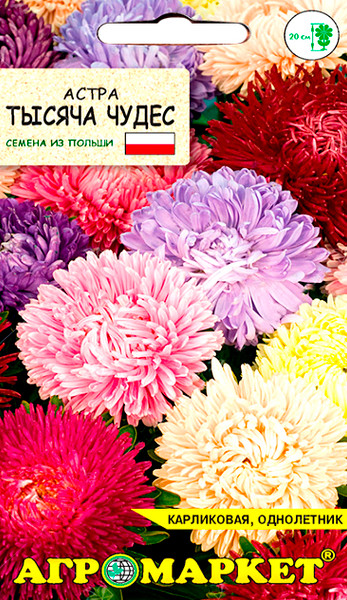 Изображение товара Семена цветов Агромаркет Астра Тысяча чудес (0.5г)