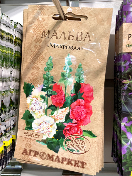Изображение товара Семена цветов Агромаркет Мальва Махровая. Серия Кветки Беларуси (0.5г)
