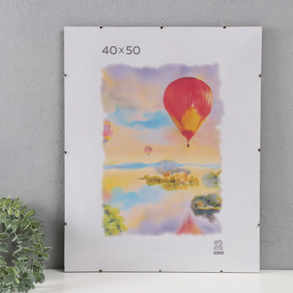 Изображение товара Рамка ZEBRA Клип 40x50 / 10121431