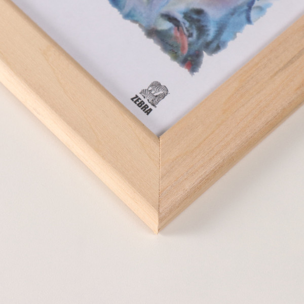 Изображение товара Рамка ZEBRA Nauru 10x15 / 3839343