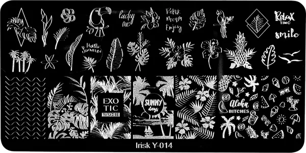Изображение товара Пластина для стемпинга IRISK металлическая 314 Y-014