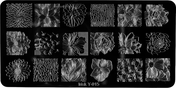 Изображение товара Пластина для стемпинга IRISK металлическая 315 Y-015
