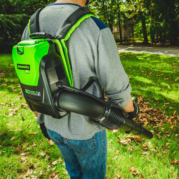 Изображение товара Воздуходувка аккумуляторная Greenworks GD60BPB (2402307)