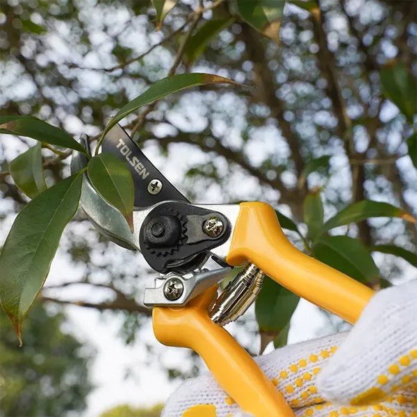 Изображение товара Секатор механический Tolsen 31022
