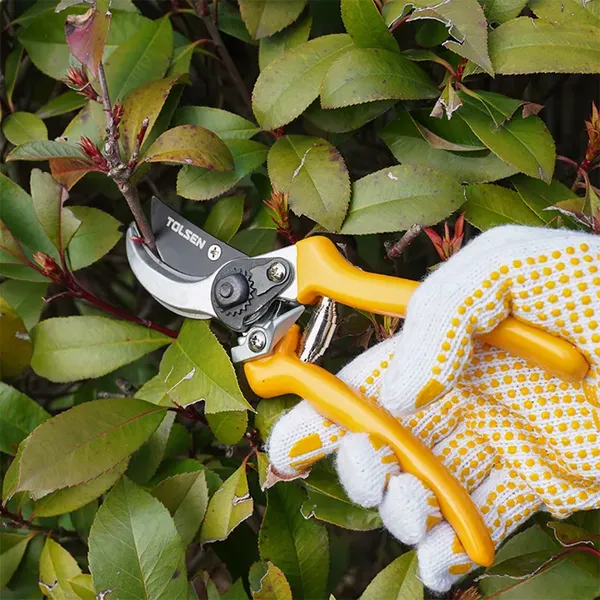 Изображение товара Секатор механический Tolsen 31022