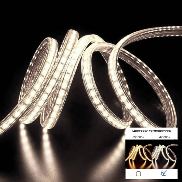 Изображение товара Светодиодная лента ST Luce ST1001.414.65.1