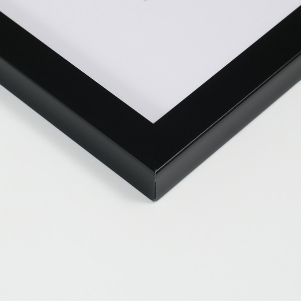 Изображение товара Рамка Мирам 50x70 с паспарту / 10830425