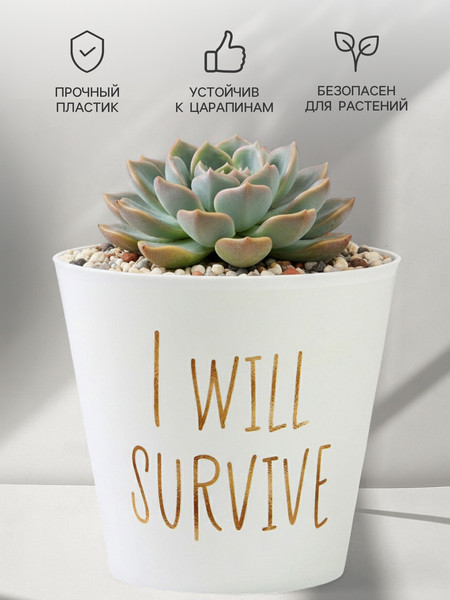 Изображение товара Кашпо Дарите счастье Я выживу 7415883