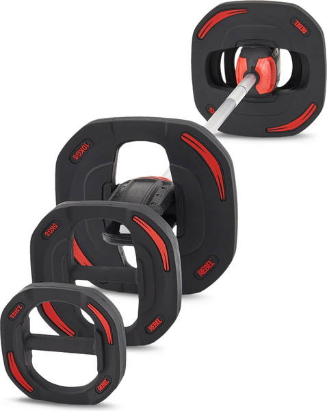 Изображение товара Набор дисков для штанги REBEL R-SMRTD-2.5-PAIR (2шт, 2.5кг)