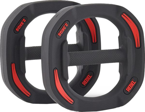 Изображение товара Набор дисков для штанги REBEL R-SMRTD-2.5-PAIR (2шт, 2.5кг)