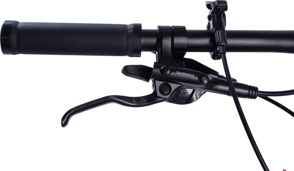 Изображение товара Велосипед Maxiscoo 9BIKE 29 M920 2026 / MSC-M9-2951-17 (металлик матовый)