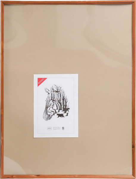 Изображение товара Рамка ZEBRA Abilene 60x80 / 4194653