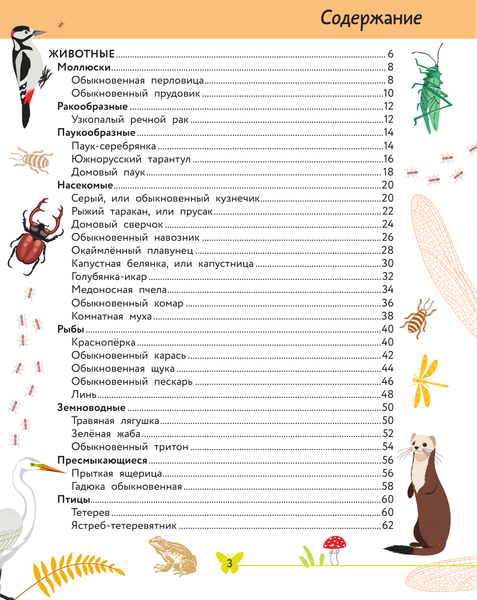 Изображение товара Энциклопедия АСТ Окружающий мир. Животные (Сивоглазов В. 9785171837518)