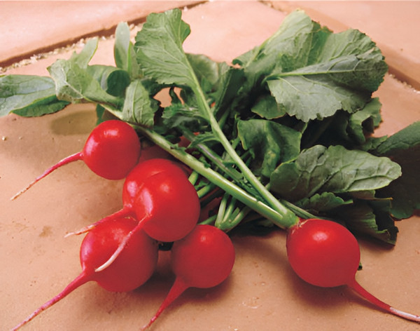 Изображение товара Семена Sakata Редис Мидуэй F1 (100шт)