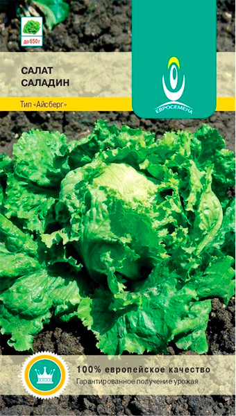 Изображение товара Семена Евросемена Салат айсберг Саладин (1г)