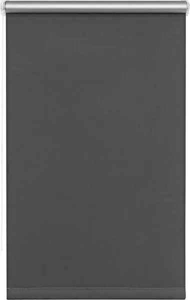 Изображение товара Рулонная штора Sundays Home LM 167-07 43х215 (темно-серый)