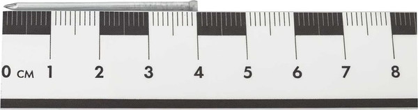 Изображение товара Гвоздь финишный Gigant G-335830 (0.5кг)