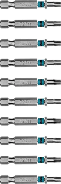 Изображение товара Набор бит Gross Torx / 114071 (10шт)