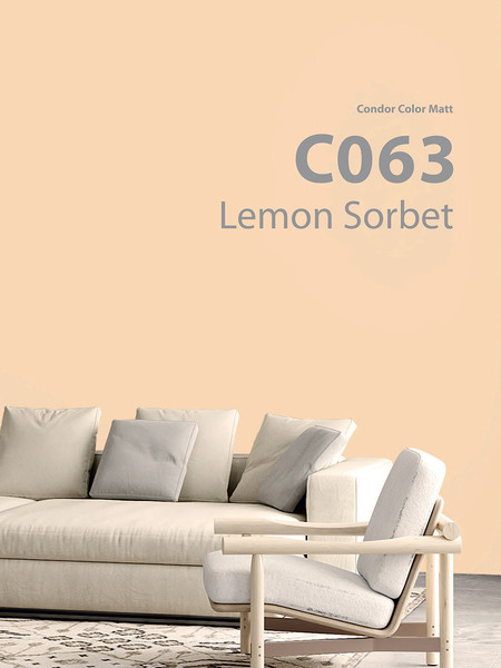 Краска CONDOR Color Matt Lemon Sorbet С063 (3.4кг) — фото 6