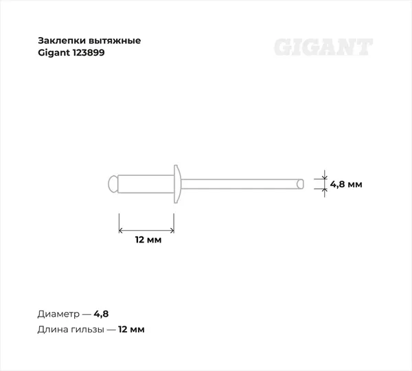 Изображение товара Набор заклепок Gigant 123899 (100шт)