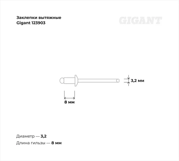 Изображение товара Набор заклепок Gigant 123903 (100шт)