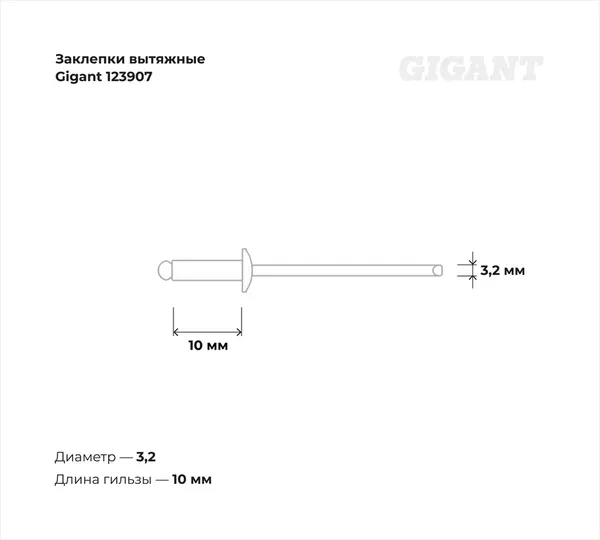 Изображение товара Набор заклепок Gigant 123907 (100шт)