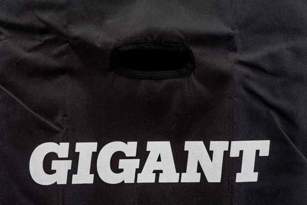 Изображение товара Телескопическая лестница Gigant LT-01 1x14