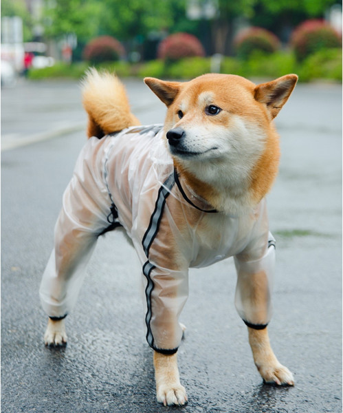 Изображение товара Дождевик для животных Sima-Land 9383264 (M, прозрачный)