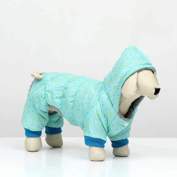 Изображение товара Комбинезон для животных Пижон Нежный путь / 9614653 (S, голубой)