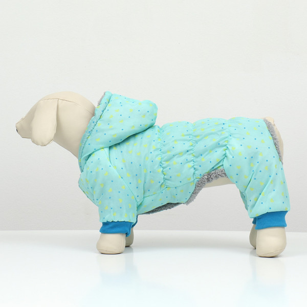 Изображение товара Комбинезон для животных Пижон Нежный путь / 9614653 (S, голубой)