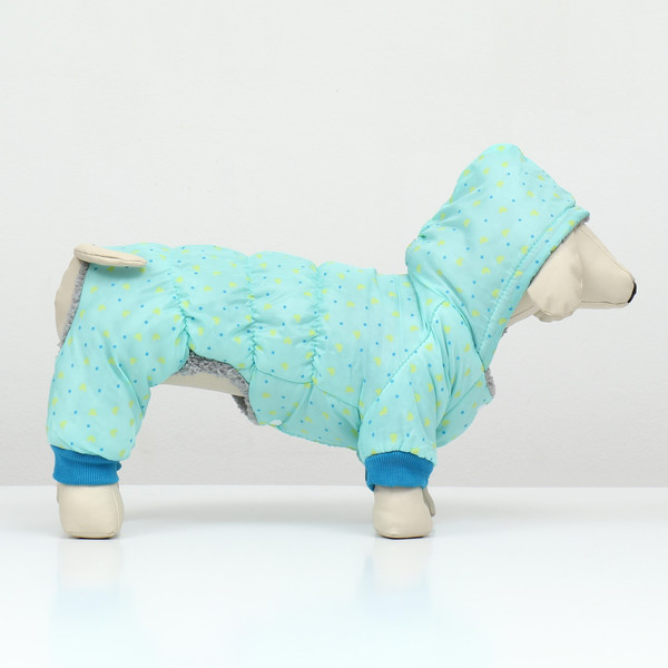 Изображение товара Комбинезон для животных Пижон Нежный путь / 9614662 (XXL, голубой)