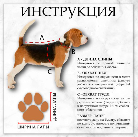 Изображение товара Комбинезон для животных Пижон Пушок / 6968259 (р.18, коралловый)