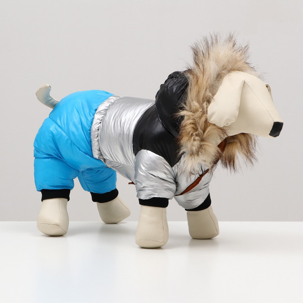 Изображение товара Комбинезон для животных Пижон Пушок / 6968262 (р.12, голубой)