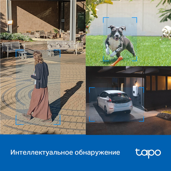 Изображение товара IP-камера TP-Link Tapo C520WS