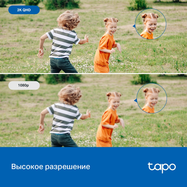 Изображение товара IP-камера TP-Link Tapo C520WS