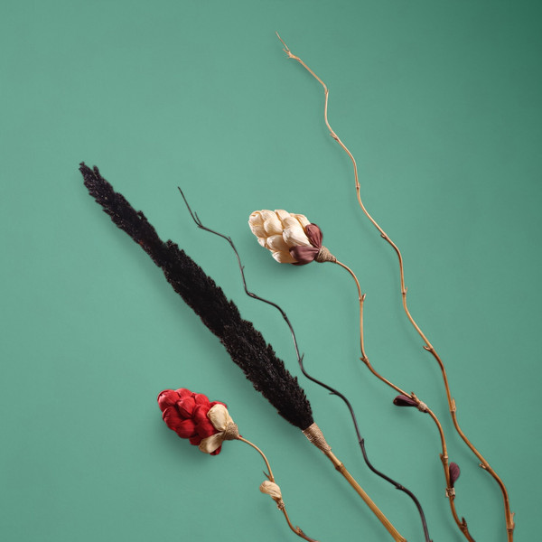 Изображение товара Сухоцвет Sima-Land Пати 7779916 (черный)