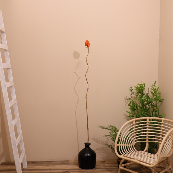 Изображение товара Сухоцвет Sima-Land На бамбуковом стебле 7779908 (коралловый)