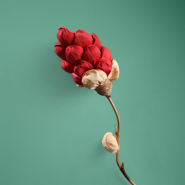 Изображение товара Сухоцвет Sima-Land На бамбуковом стебле 7779910 (красный)