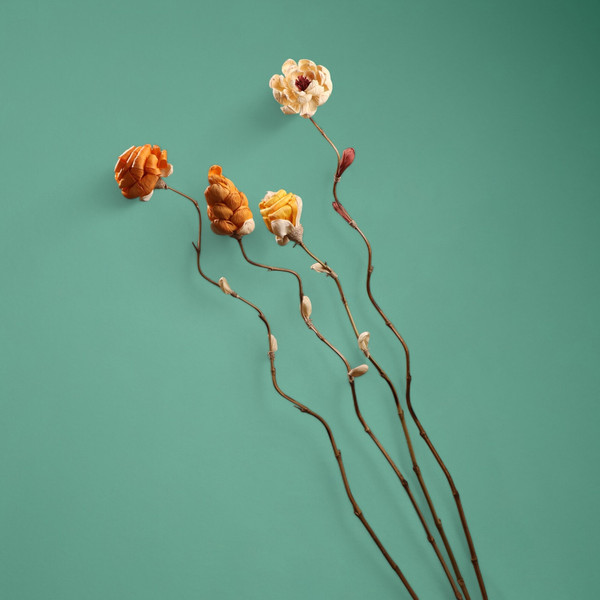 Изображение товара Сухоцвет Sima-Land На бамбуковом стебле 7779909 (оранжевый)