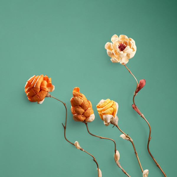 Изображение товара Сухоцвет Sima-Land На бамбуковом стебле 7779909 (оранжевый)