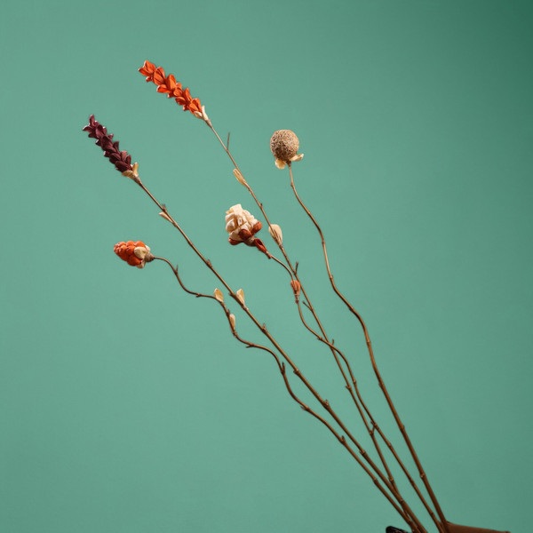 Изображение товара Сухоцвет Sima-Land На бамбуковом стебле 7779899 (фиолетовый)