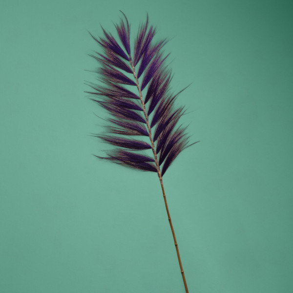 Изображение товара Сухоцвет Sima-Land На бамбуковом стебле 7779891 (фиолетовый)