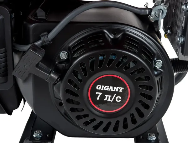 Изображение товара Инверторный генератор Gigant GPIGL-3000O